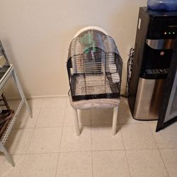 Bird Cage