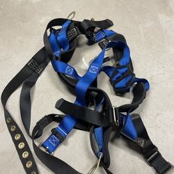 Harness