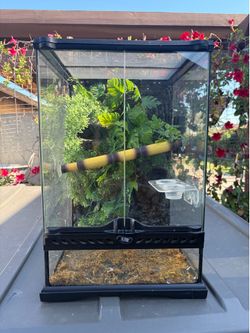 Exo Terra Terrarium