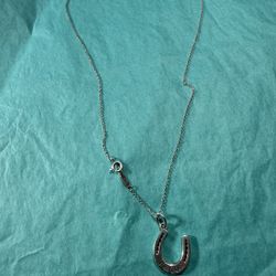 Tiffany & Co. 1837 16” Horseshoe Pendant in sterling silver. (Discontinued)