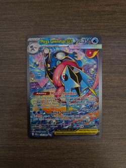 FS: Chaos Rising Greninja SIR