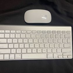 Apple Wireless Keyboard A1314 and Magic Mouse A1296 Bluetooth