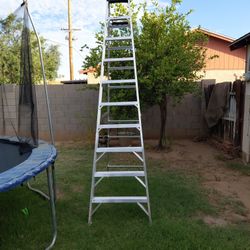 10 FT WERNER LADDER 