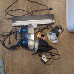 Reptile Heat Lamps And Light Fixtures 