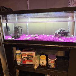 Fish Tank