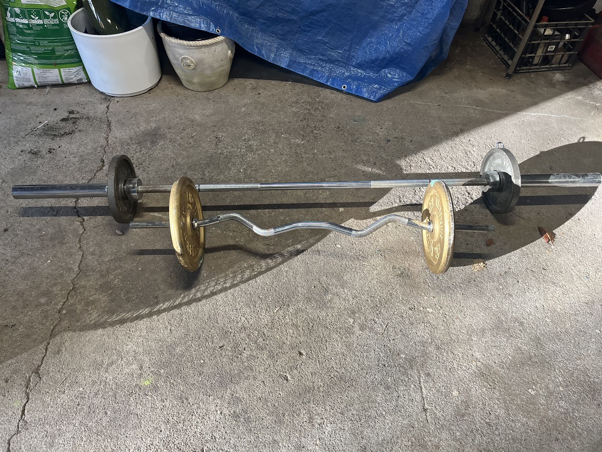 Olympic 6’ Bar With 2-10lb Weights / Easy Curl Bar With 2-25lb Weights