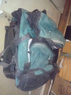 Saddlebags Canvas