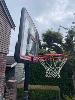 Basketball hoop, lifetime brand