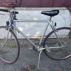 Raleigh Record Bike 