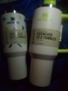 Stanley And Thermos Cups