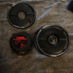 DS Speakers