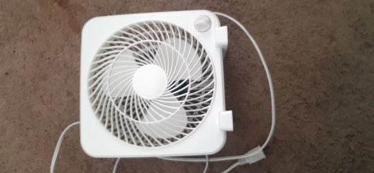 Fan