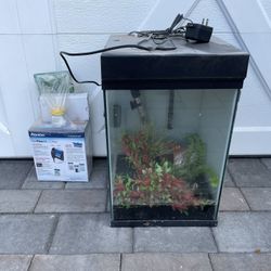 16 Gallon Fish Tank