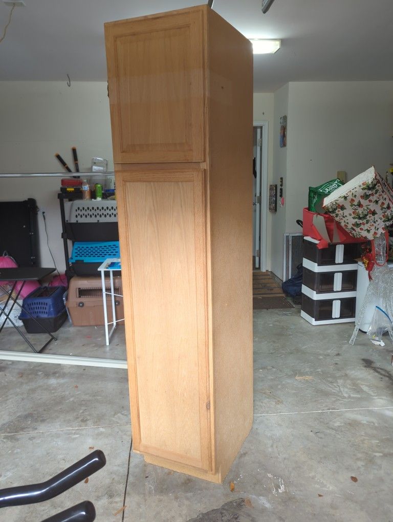 2 Door Cabinet