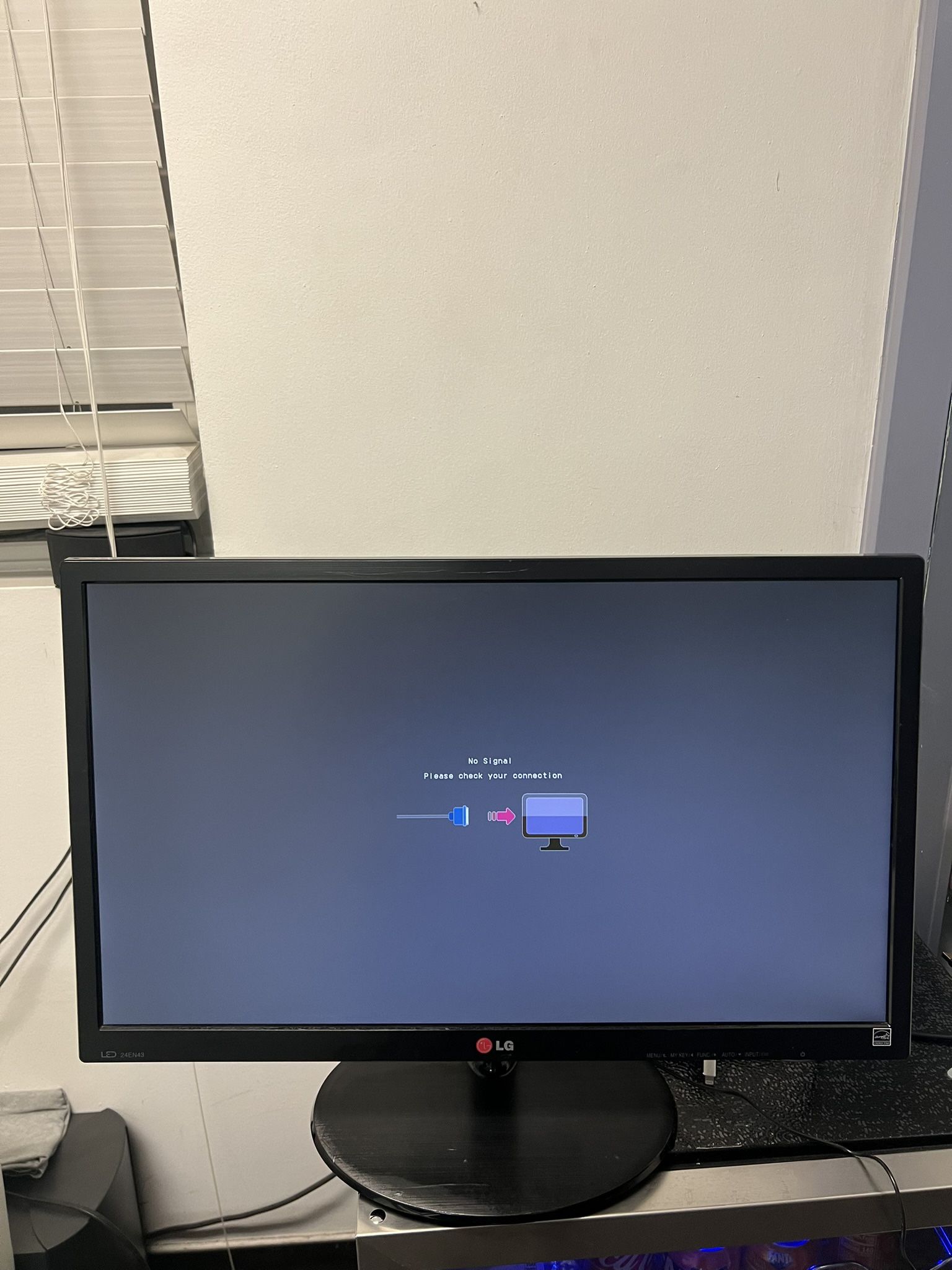 LG Monitor 24 inch (HDMI, DVI, VGA Ports)