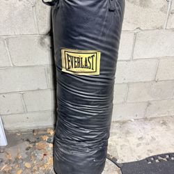 Everlast 80lb punching bag.