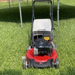 Recycler 21 in. Briggs and Stratton Low Wheel RWD Gas Walk Behind Self Propelled Lawn Mower with Bagger