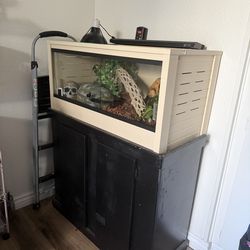 Terrarium with stand