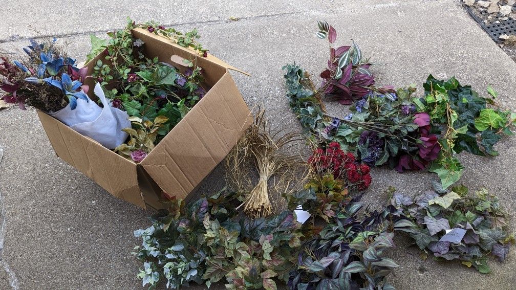 Decorative Vines, Feathers, and Flowers. 