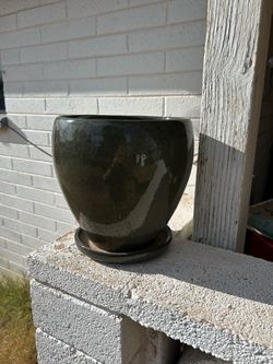 FLOWER POTS FOR SELL