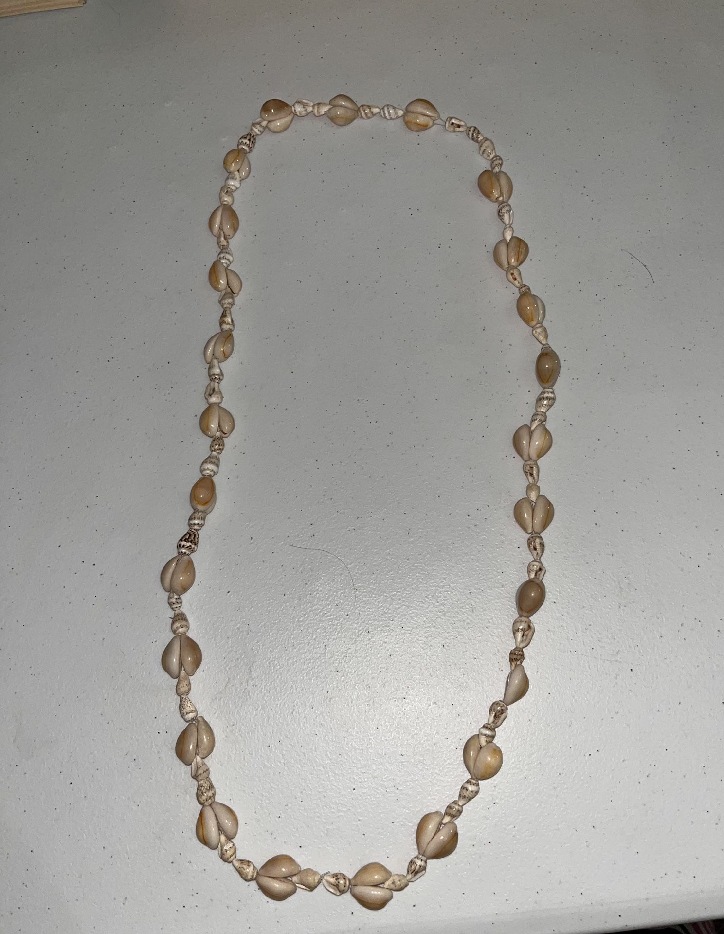 Seashell Necklace Bracelet Anklet