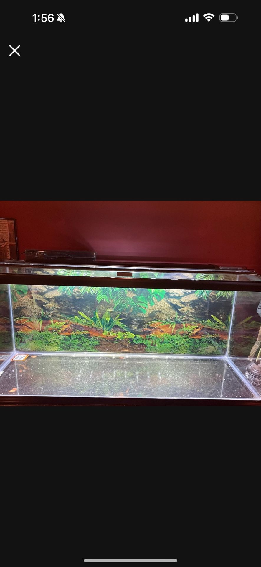 75 Gallon Marine Land Fish Tank With Hood And 110 Gallon Fluval Filter Mint Condition!