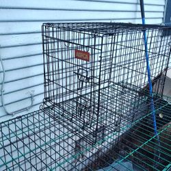 Dog Cages