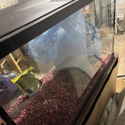 Fish Tank