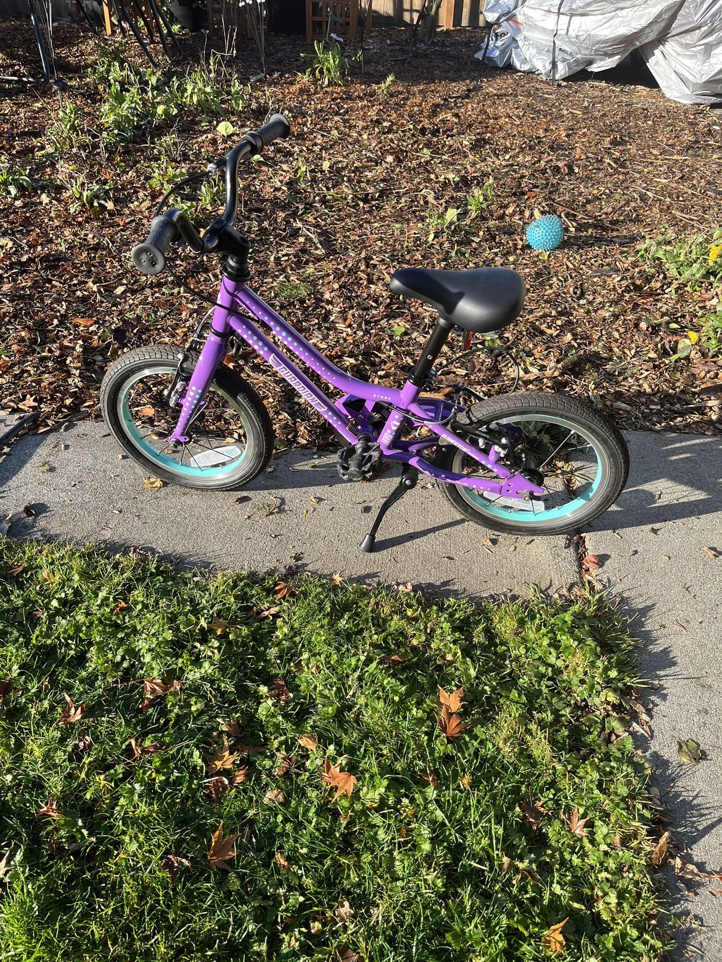 Guardian Kid Bike