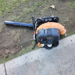 Echo Blower