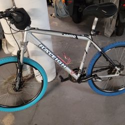 Raleigh Mountain Bike.beach Cruiser.