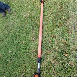 Echo Pole Saw