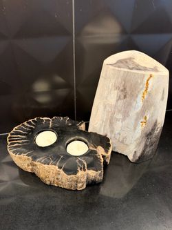 Petrified Wood from Arizona