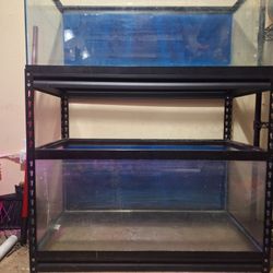 Two 40gallon Breeder Tanks