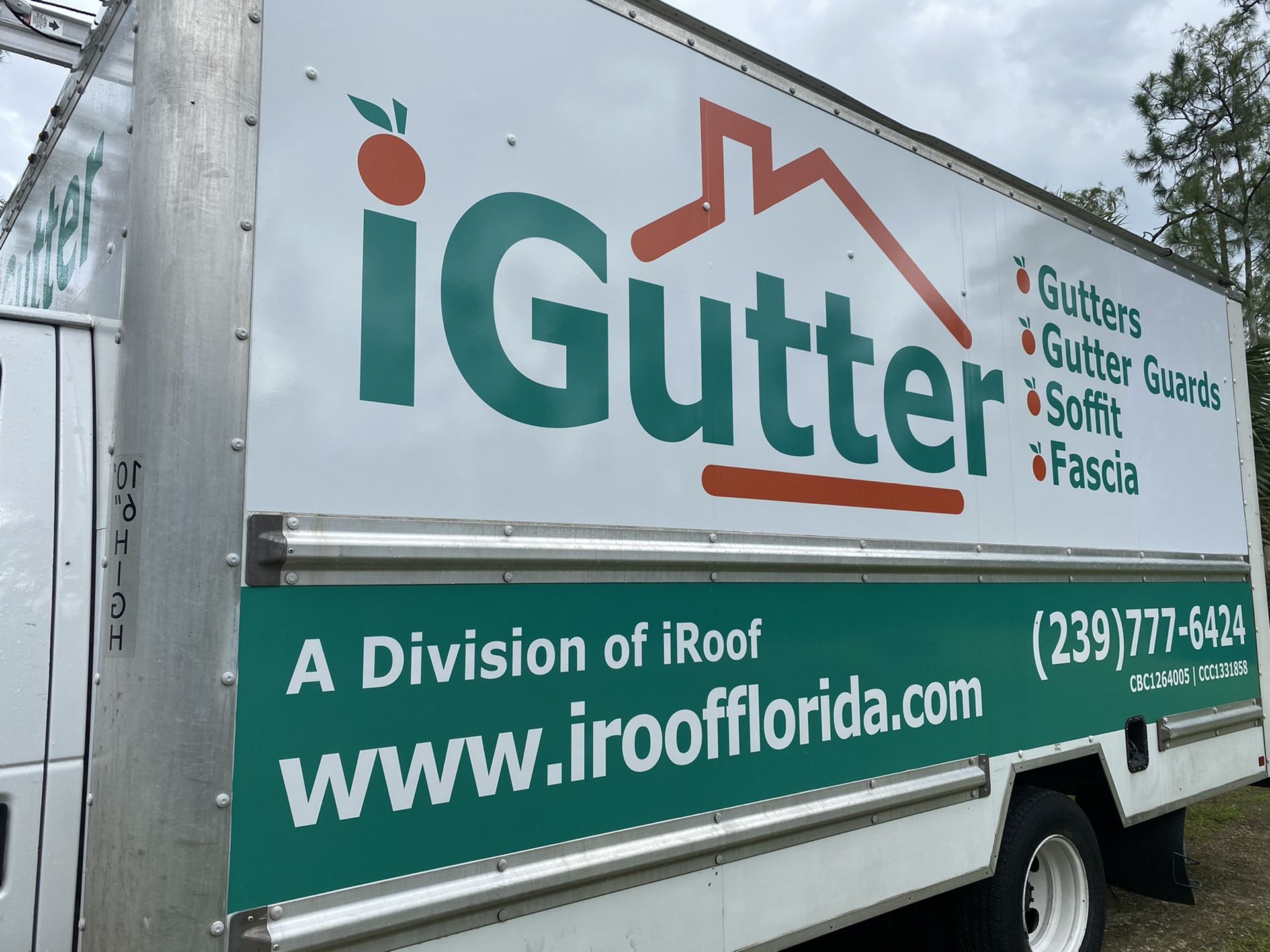 Vehicle Wraps
