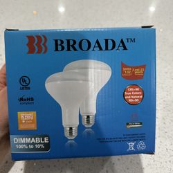 Light Bulbs 
