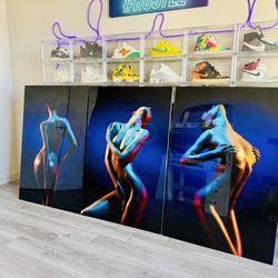 Cuadros acrílicos 3