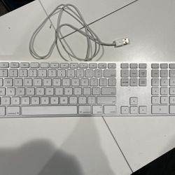 Apple Keyboard A1243 