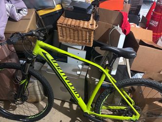 Specialized Rockhopper Mountain Bike