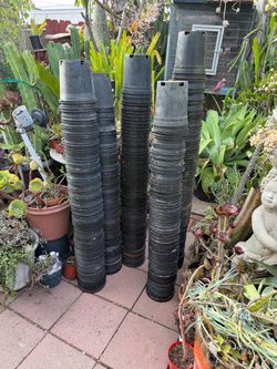 One Gallon Nursery Black Pots