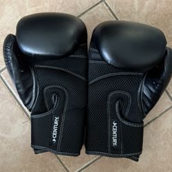 Kick Boxing Gloves