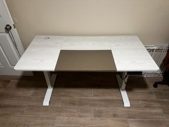 Electric Standing Desk