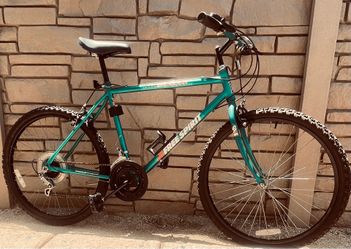 17” Free Spirit  Blaze Vintage Mountain Bike/ City Commuter
