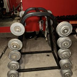 Fixed Barbells With Rack