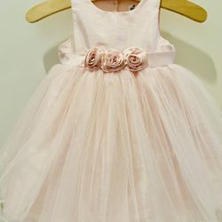 Flower Girl Dress Size 12 Months 