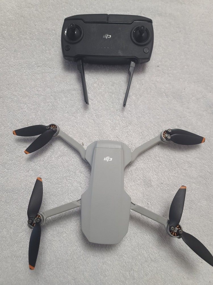 The DJI Mini 2