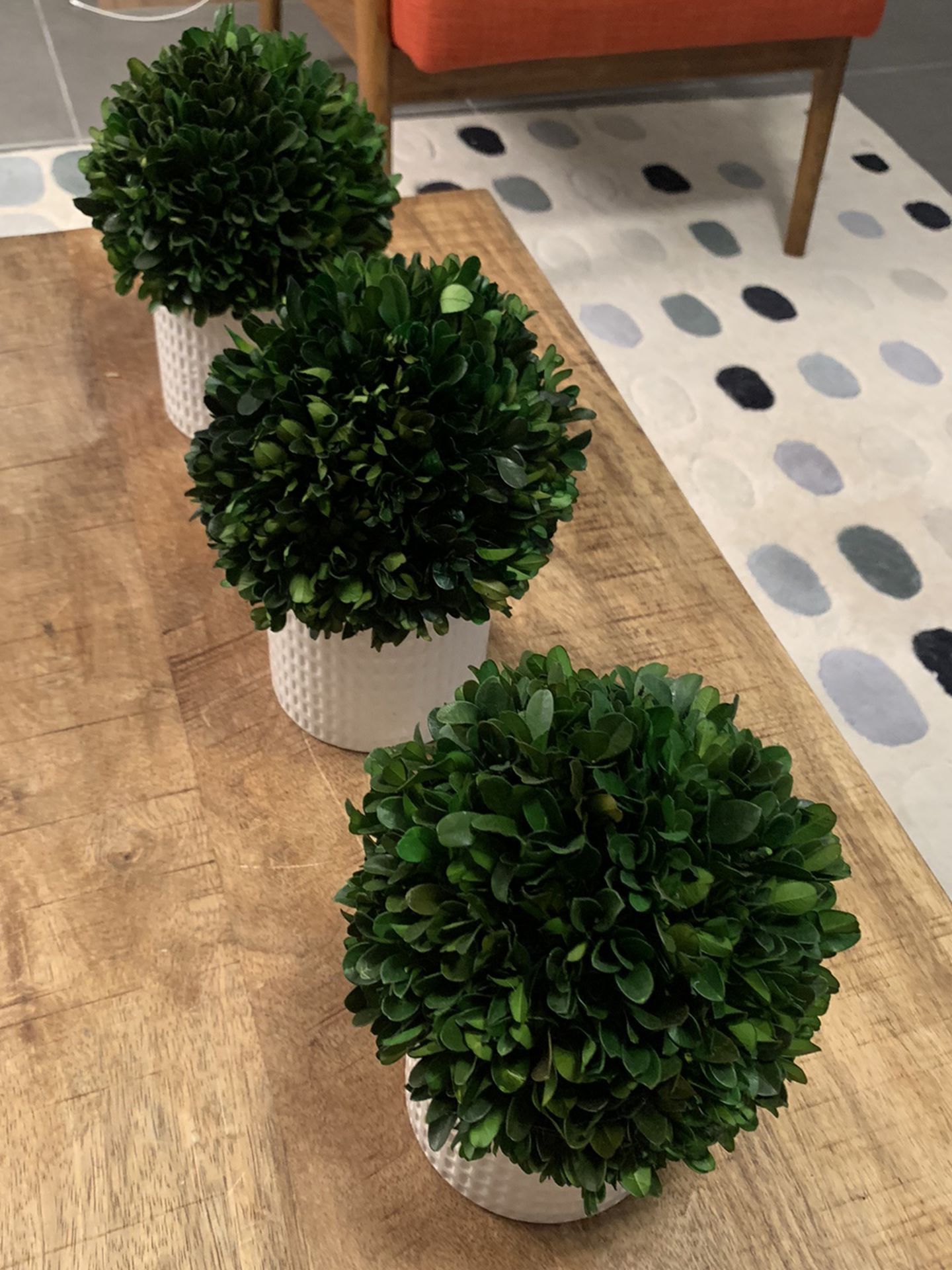 Set Of 3 Small Table-Top Fake Plants