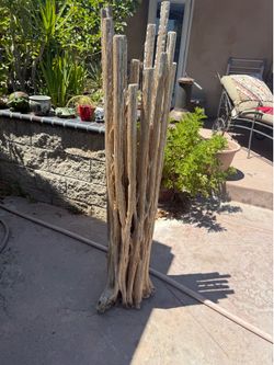Rustic Saguaro Cactus Skeleton