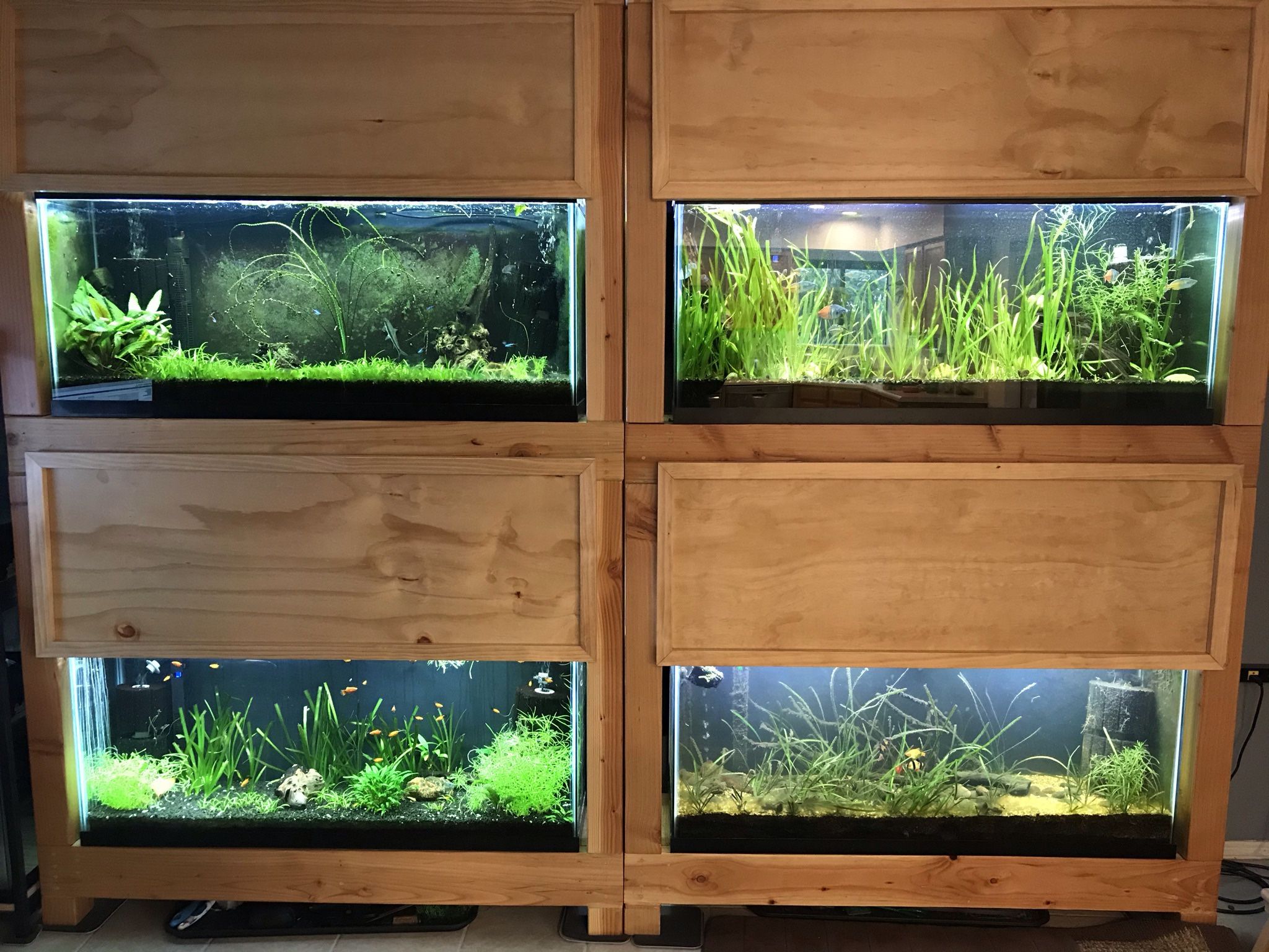Fish Tanks, Custom Racks, All Equipment, Live Plants 