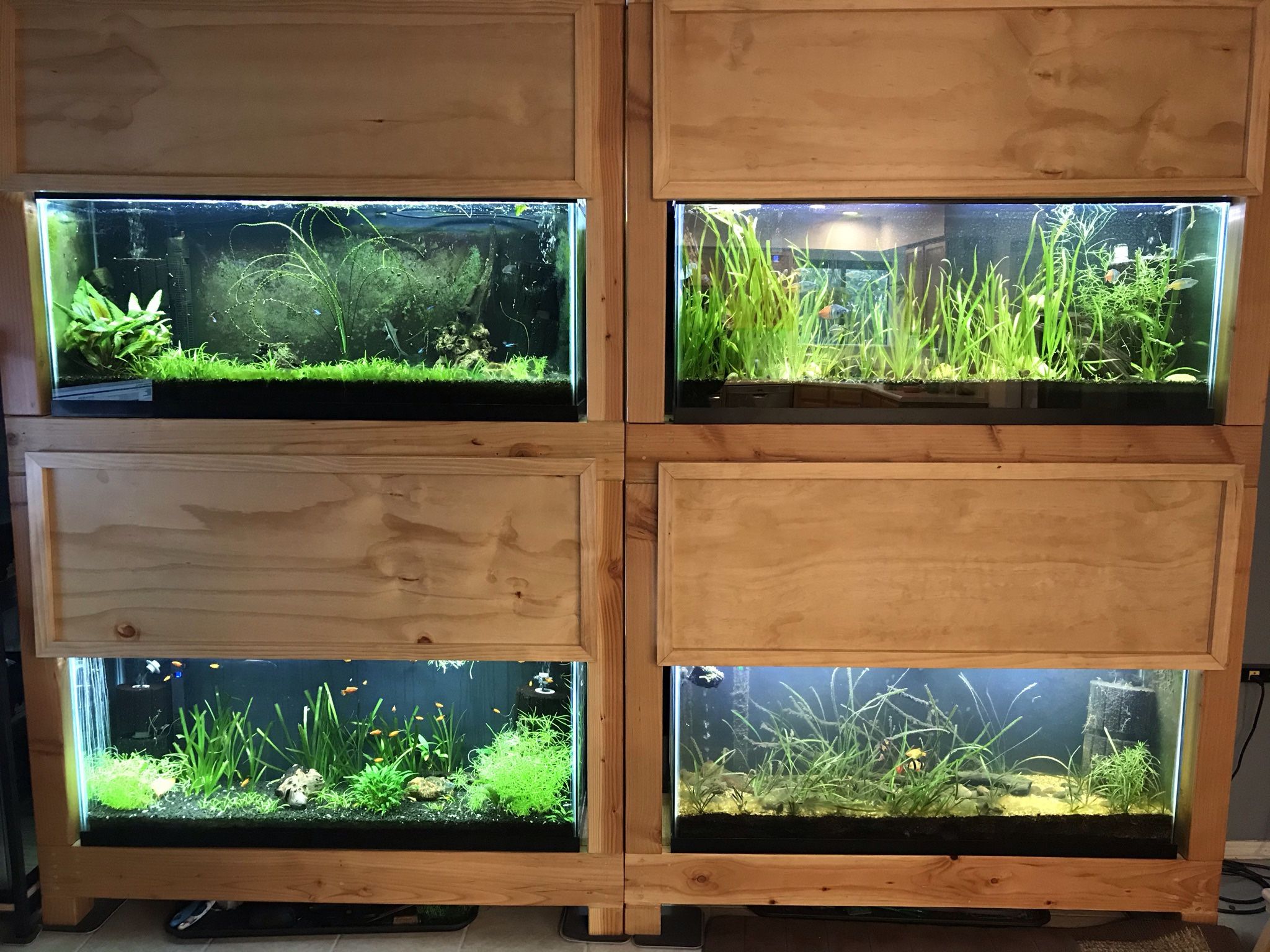 Fish Tanks, Custom Racks, All Equipment, Live Plants
